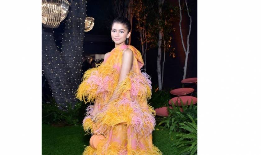 5 Things You Didn’t Know About Zendaya