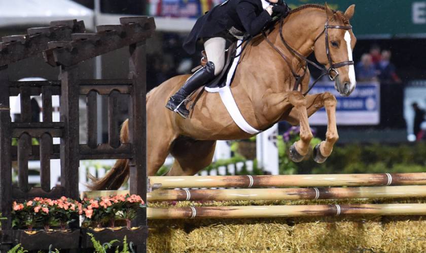 Two Veteran Partnerships And A “Blind Date” Top WCHR Hunter Spectacular