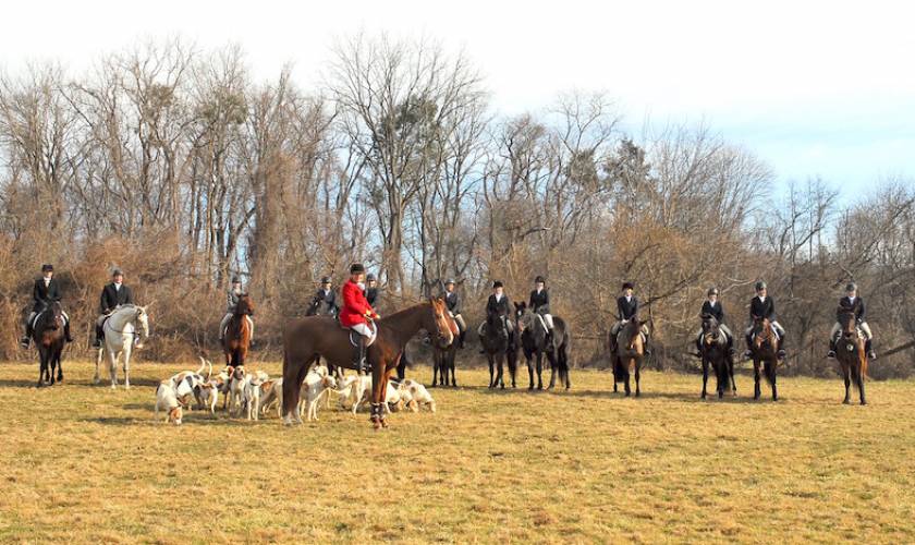 Off-Track Standardbreds Get Their Day In The Field