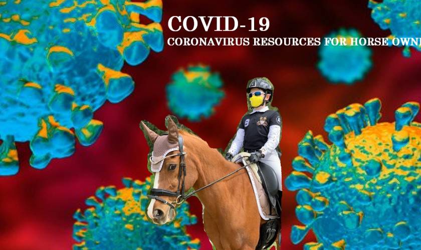 CORONA VIRUS Covid-19 RESOURCES FOR HORSE OWNERS