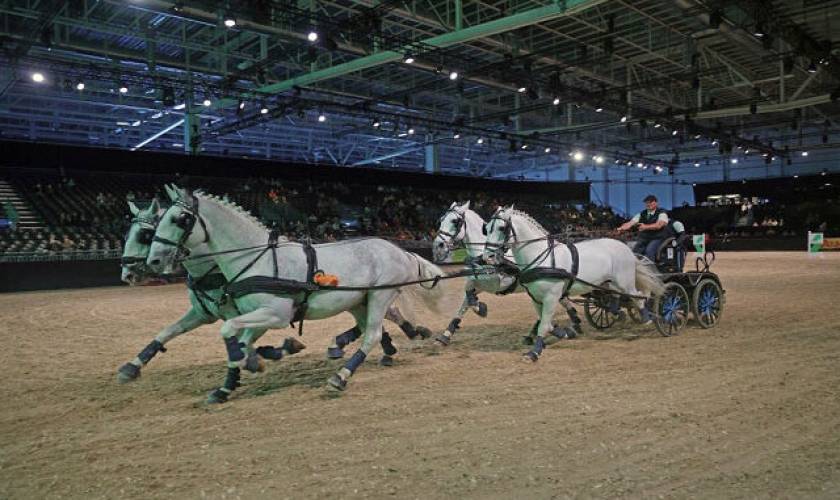 Equitana 2023 – new date for the World Equestrian Show