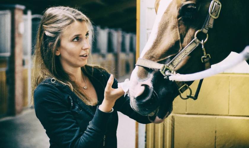 Should I Punish My Horse for Misbehavior?
