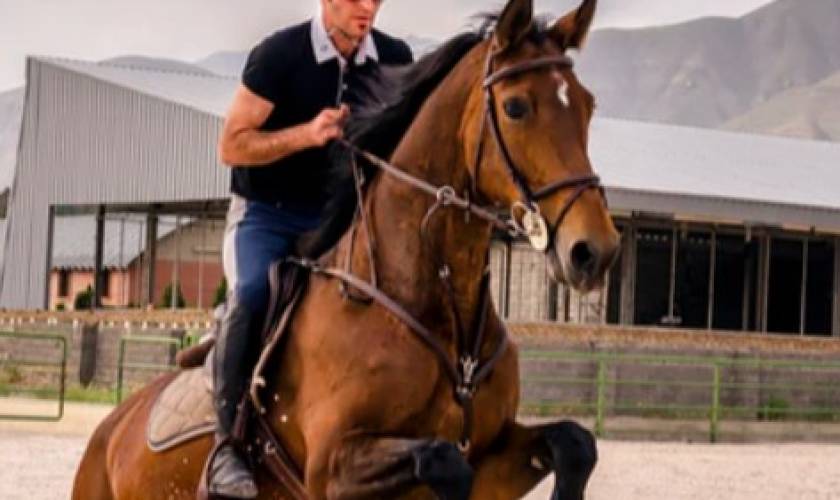 Best Riding Horse Breeds Revealed!