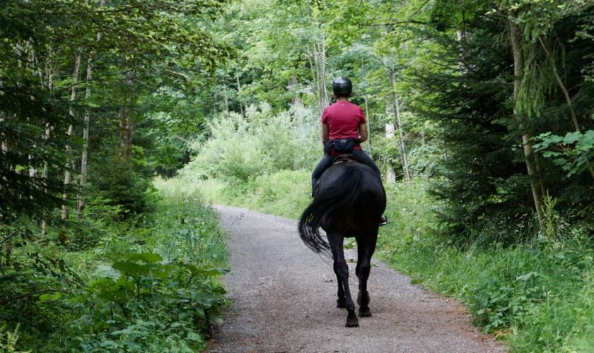 Planning a Holiday on Horseback