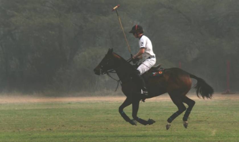 Prince Harry “Gallops Into His Future” During a Polo Match in California: Royal Expert