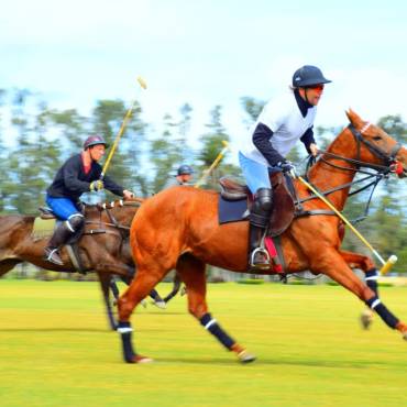 Prince Harry Plays Polo in First Sighting Since the Platinum Jubilee