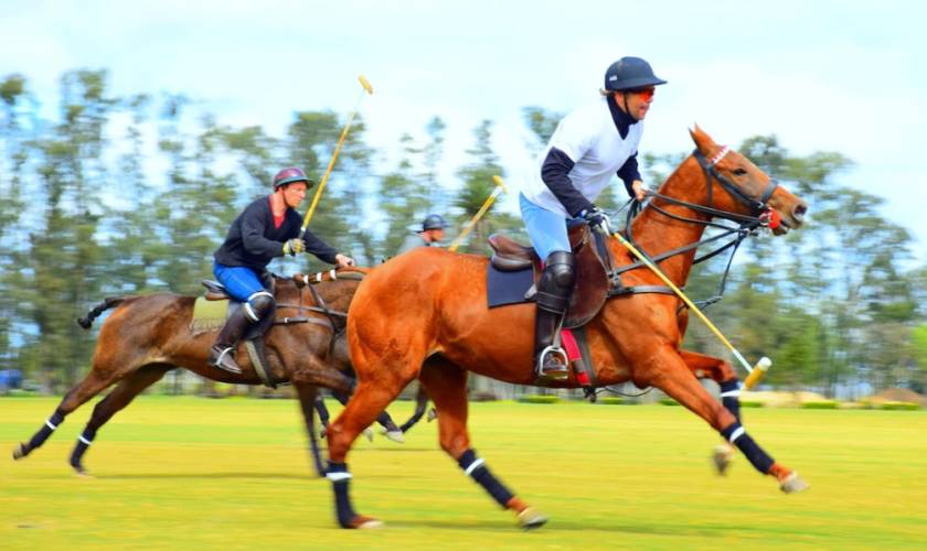 Prince Harry Plays Polo in First Sighting Since the Platinum Jubilee